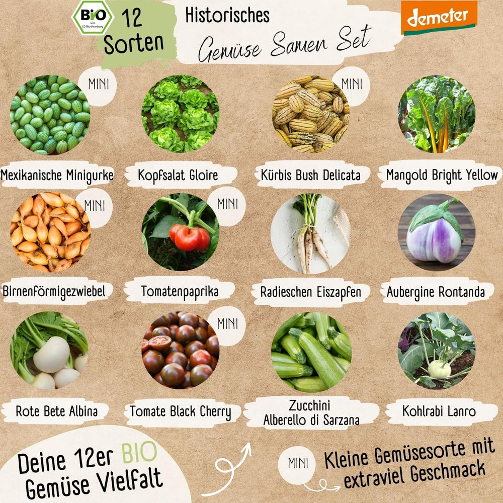 Bio-Gemüsesamen-Set – 12 Sorten Demeter-Gemüsesamen | Seltene und familiäre Gemüsesamen, alle frei bestäubt | Familiengemüsesorten für Balkone, Hochbeete, Gärten und Geschenke | Liebespflanzen