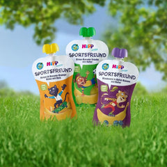 Hipp Quetschbeutel, 100 % Bio-Früchte ohne Zuckerzusatz, 6 x 120 Gramm Mutter und Kind Naty Shop