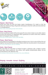 Blumen von Buzzy Poppy, Black Poppy Paeony