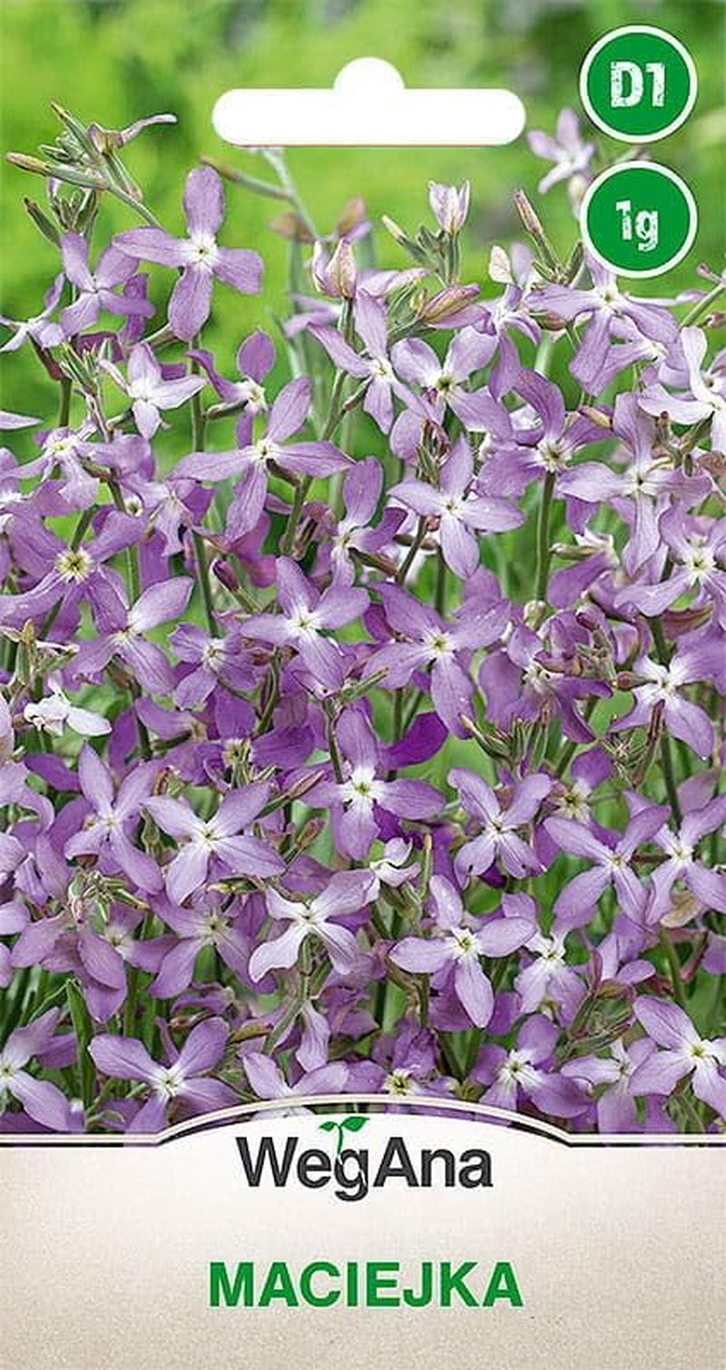 Cosmos Sensation Mix 1g Samen, Cosmos Mix Sommerblumen, Gartenpflanzen Balkonpflanzen, Blumensamen