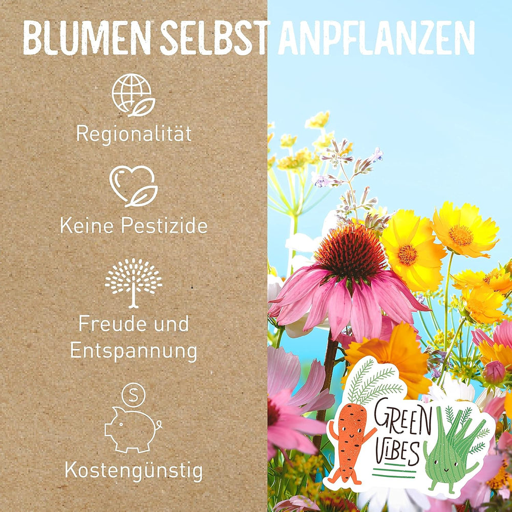 Bio-Blumensamen-Set | 12 Sorten Blumensamen | Premium-Blumensamen | Wildblumensamen-Pflanzensamen-Set | Blumensamen | Blumensamen für den Balkon | Ideales Geschenk mit Blumensamen