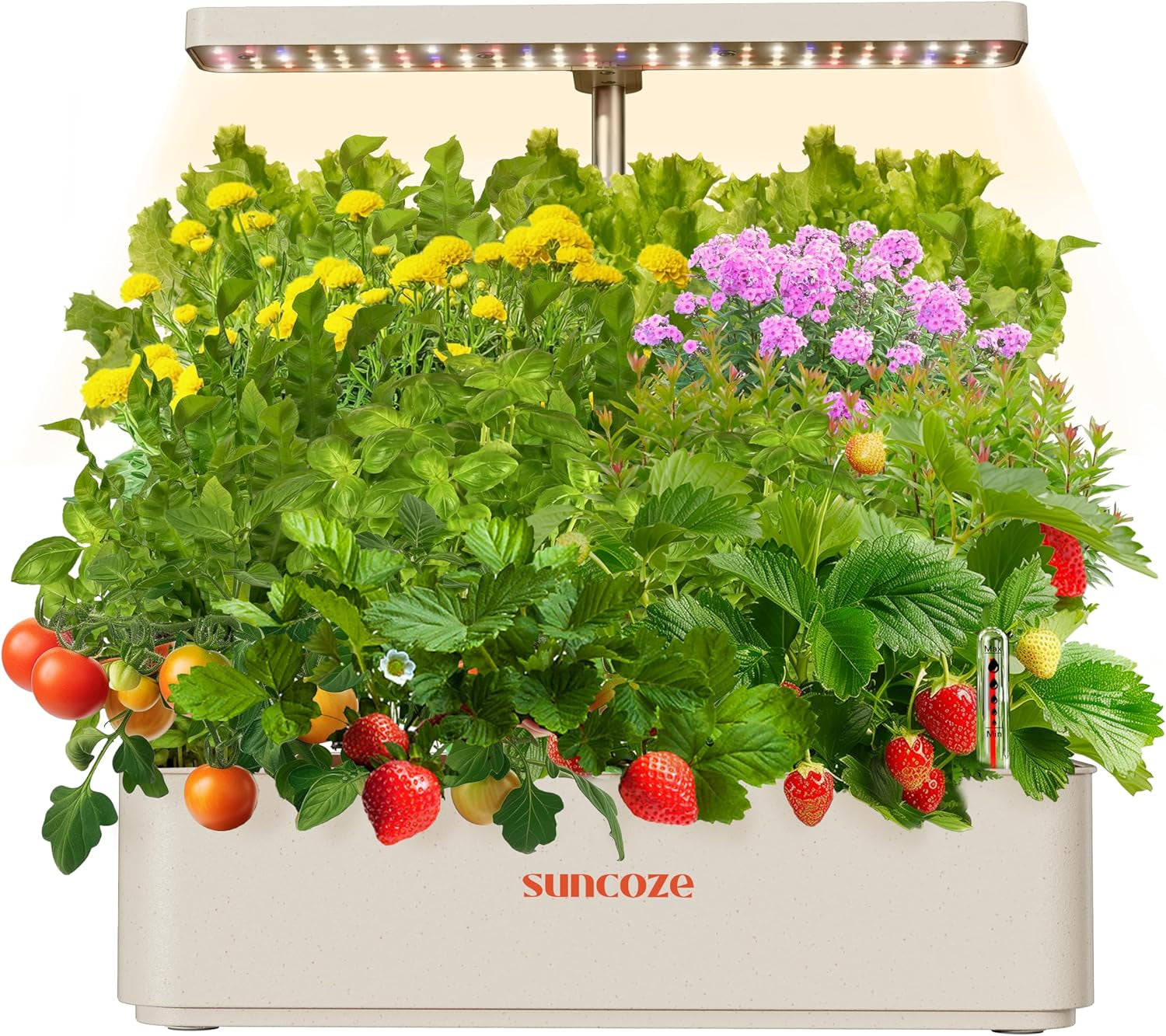 12 Kapseln Hydrokultur-Anbausystem-Kit, 24-W-LED-Gartenlampe für den Innenbereich, 4-Liter-Wassertank mit leiser Pumpe, höhenverstellbarer Kräuterpflanzer, Indoor-Gartenset, Gartengeschenke, Beige