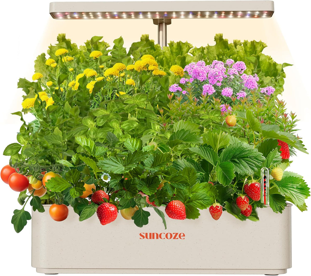 12 Kapseln Hydrokultur-Anbausystem-Kit, 24-W-LED-Gartenlampe für den Innenbereich, 4-Liter-Wassertank mit leiser Pumpe, höhenverstellbarer Kräuterpflanzer, Indoor-Gartenset, Gartengeschenke, Beige