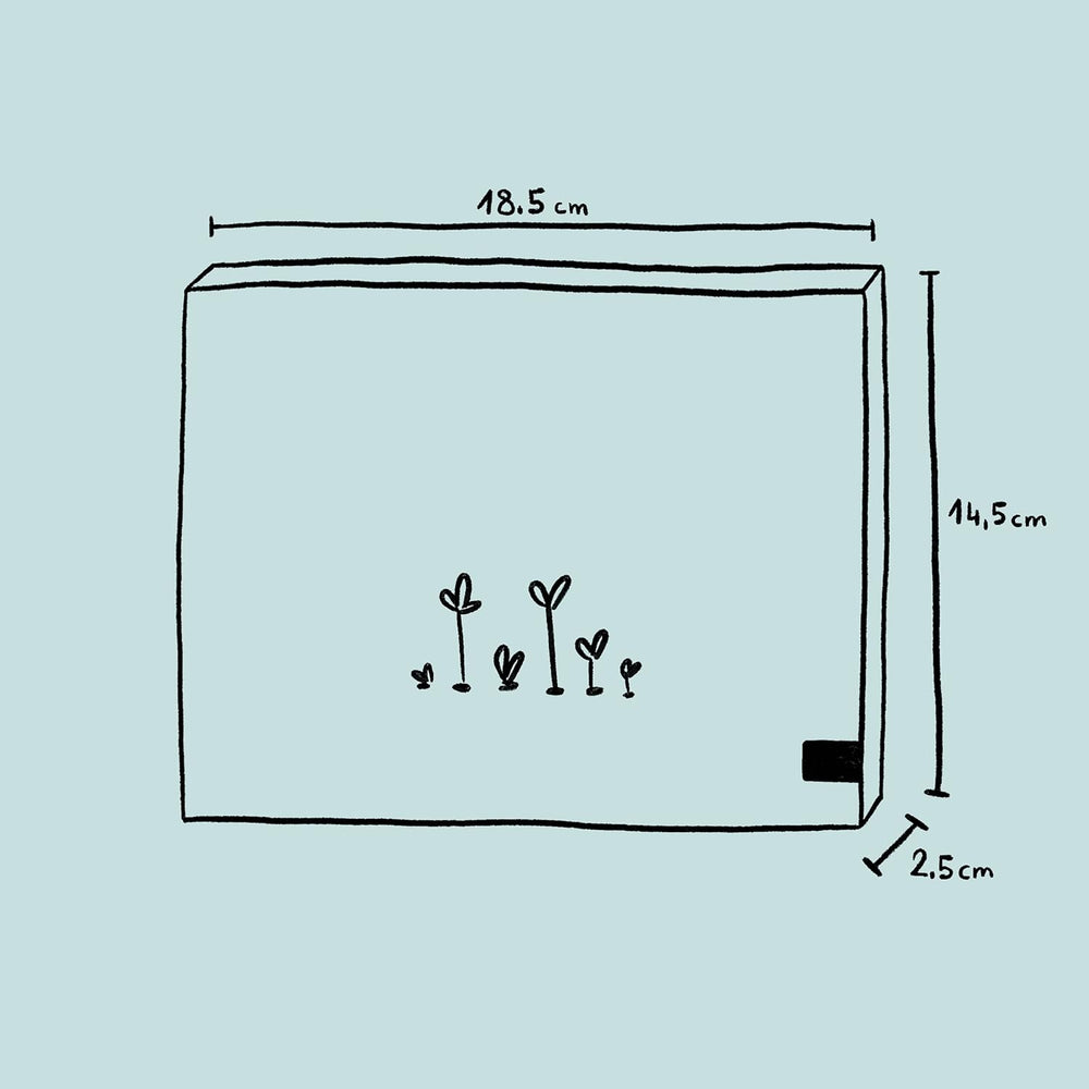 Duftende Pflanzen – Geschenkset mit Samen und 6 Pflanzen mit herrlich duftenden Blüten