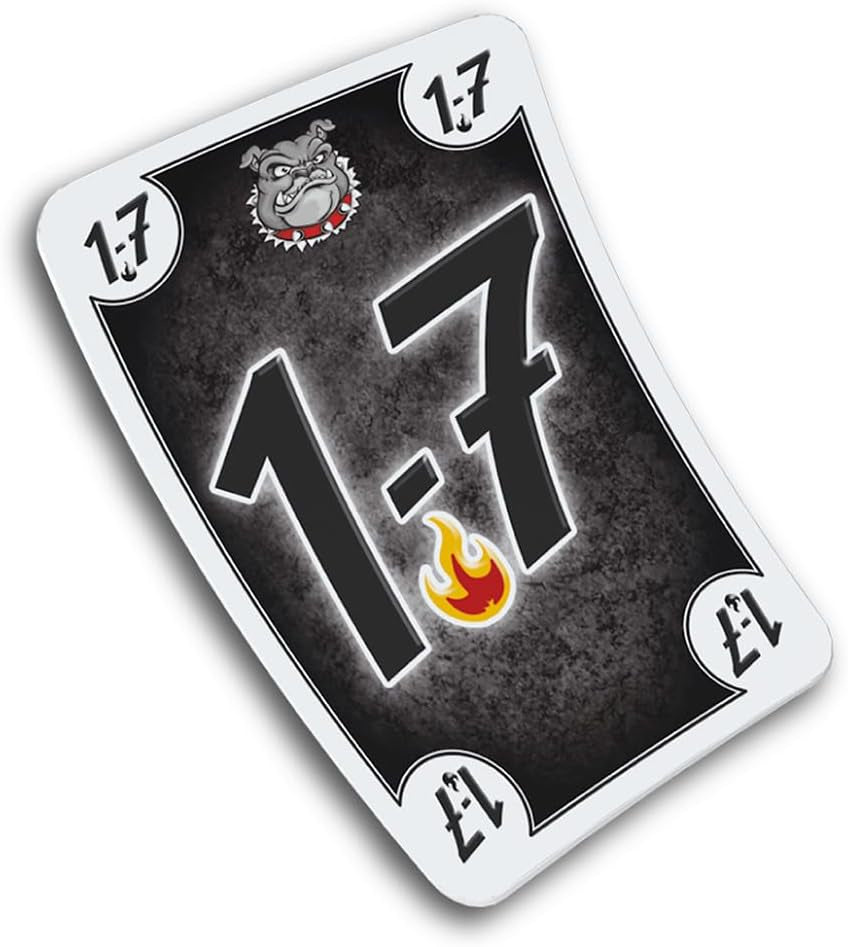 Schmidt Spiele 49323 Black DOG, joc de familie