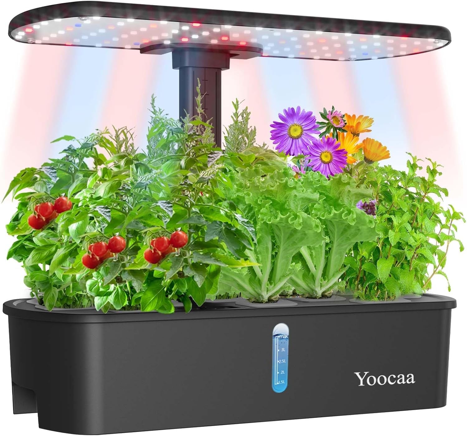 Hydrokultur-Anbausystem für 12 Pflanzen, Kräutergarten für den Innenbereich mit automatischem Timer, Pumpe, höhenverstellbarem Smart Garden Grow Kit (Samen nicht im Lieferumfang enthalten)