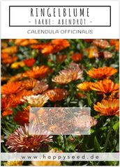 Ringelblumensamen (Calendula officinalis) – Vielseitige Heilpflanze mit essbaren Blüten und ideal für eine bunte Blumenwiese (Abendrot)