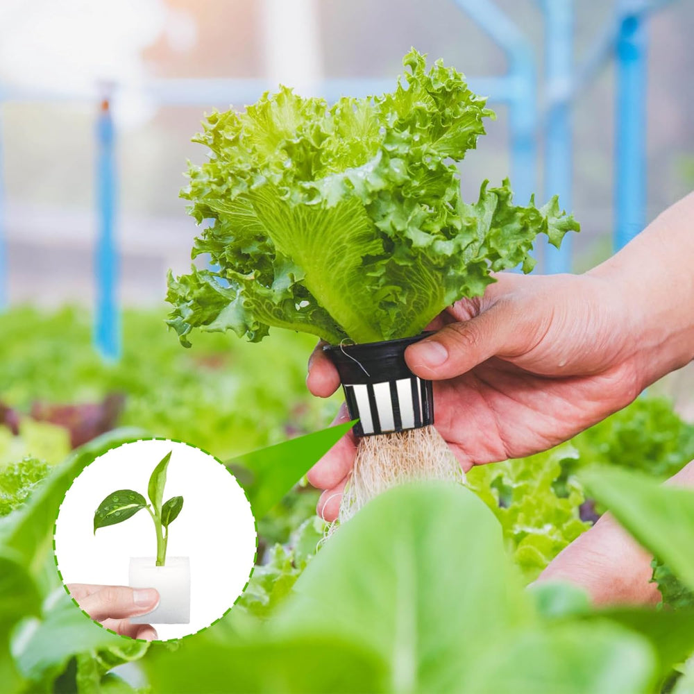 Steinwolle, Anzucht-Steinwolle, 2 Stück, Hydrokultur-Schwamm, 200 Stück nach dem Schneiden – Alternative für Gewächshaus, Samenkeimung und Heimgemüse