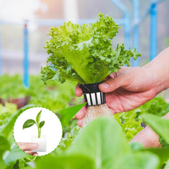 Steinwolle, Anzucht-Steinwolle, 2 Stück, Hydrokultur-Schwamm, 200 Stück nach dem Schneiden – Alternative für Gewächshaus, Samenkeimung und Heimgemüse