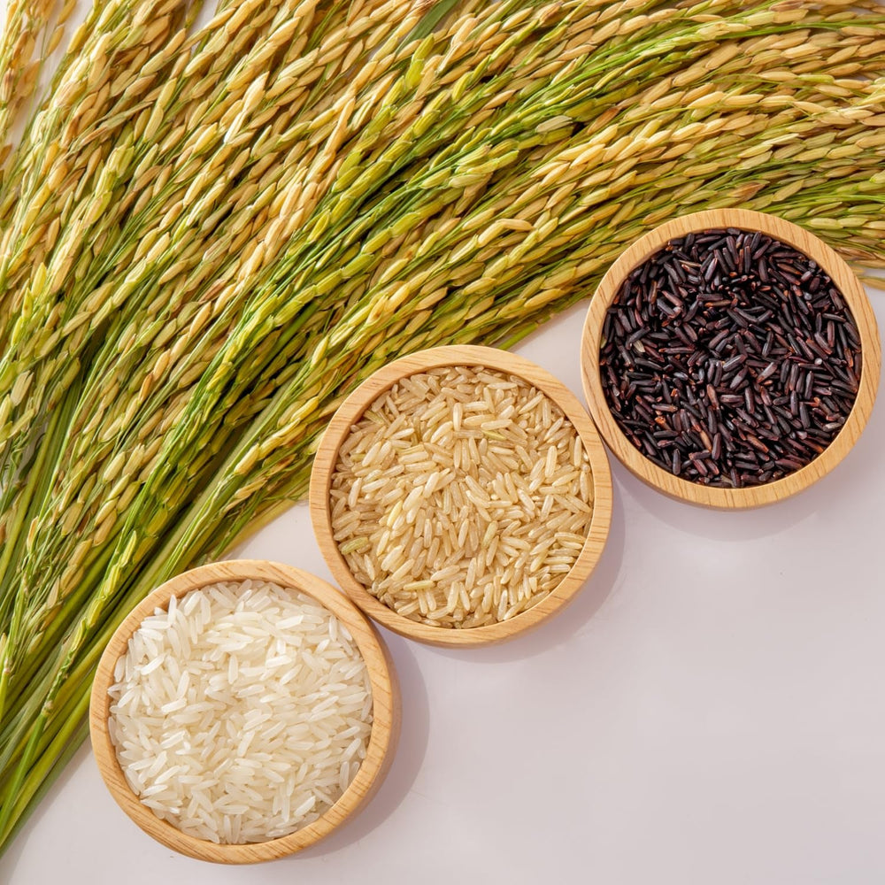 ROYAL THAI RICE - Orez brun parfumat cu bob lung - 1 x 10 kg