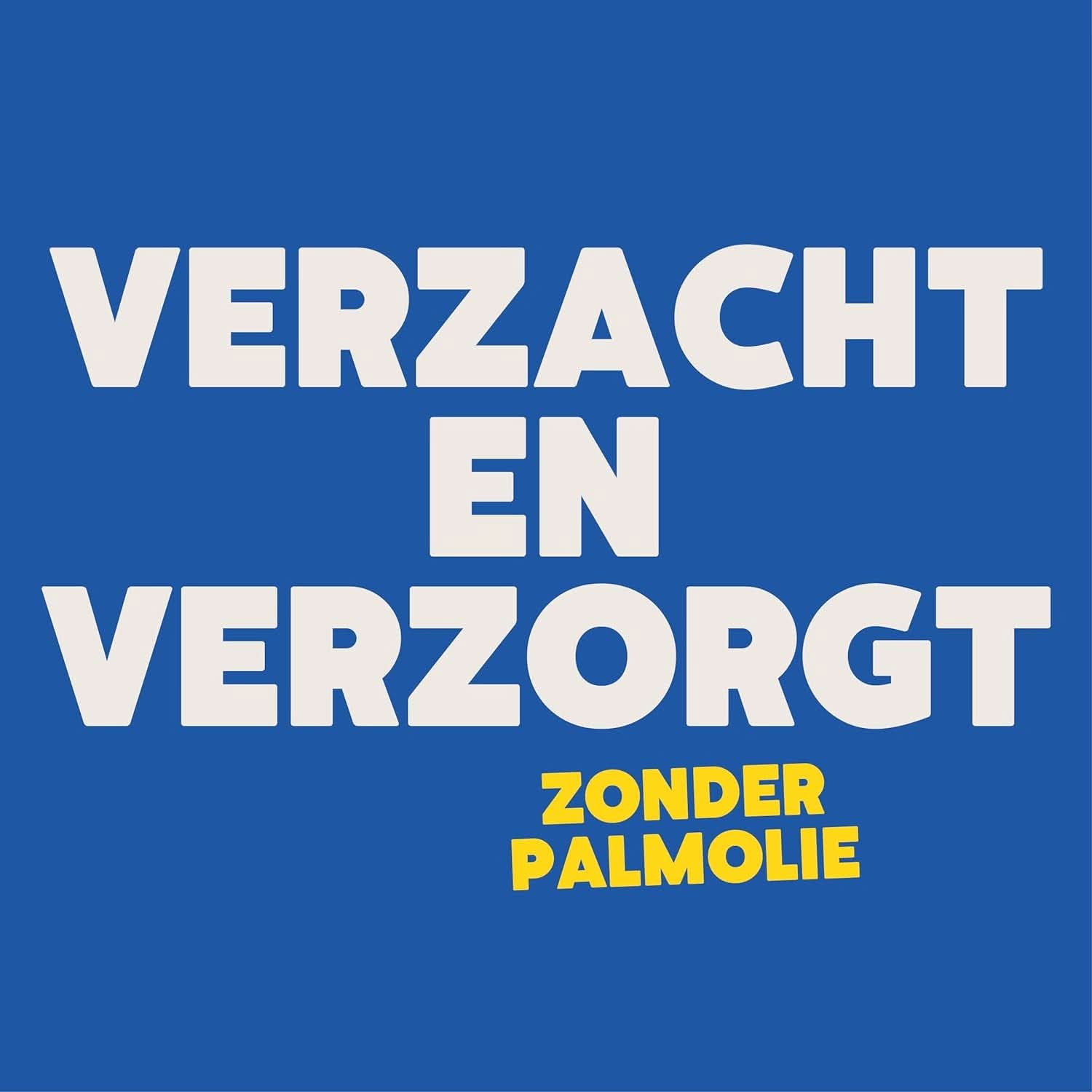 Ecover Color Apple Blossom & Freesia Waschmittel, Flüssigwaschmittel mit pflanzlichen Inhaltsstoffen zur Konservierung und zum Schutz der Kleidung Naty Shop