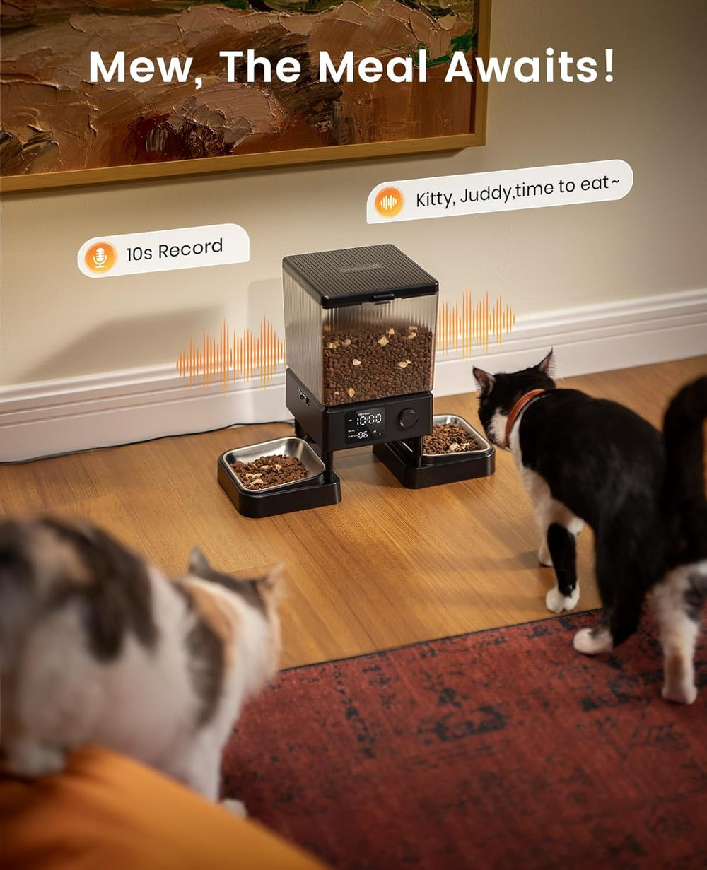 oneisall 5L Futterautomat Katze 2 Näpfe, Katzenfutter Automat mit einem Knopf, Einfache Bedienung, Futterspender für Katzen/Hunde, mit Edelstahlschüssel, Voice Recorder, für kleine/mittlere Haustiere