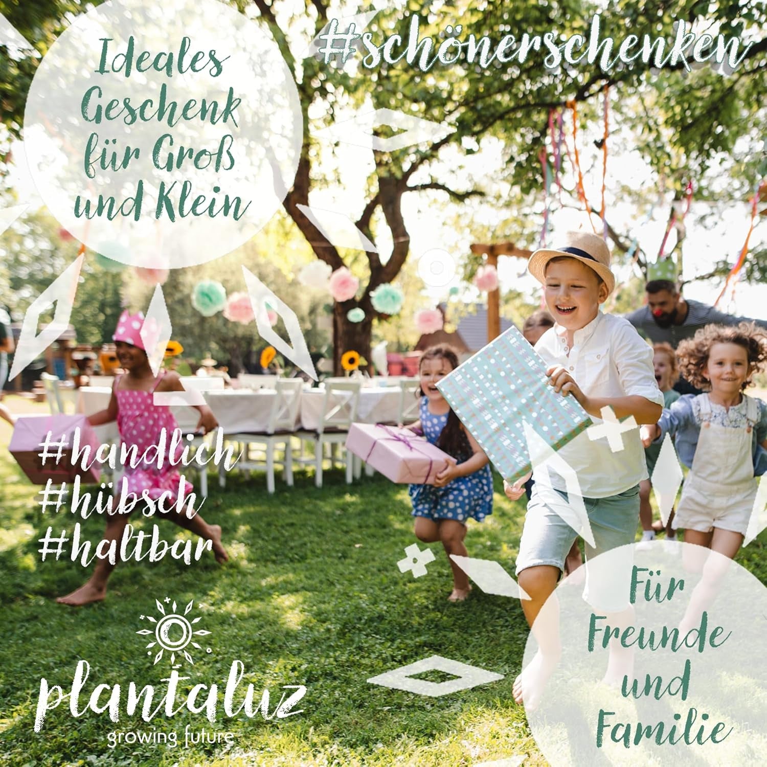 Plantaluz Premium Bio-Samen-Set P03 – Kulinarik- und Heilpflanzen-Samen-Set für Garten, Balkon und Innenbereich – inkl. Samen FSC-Pflanzstäbchen – Frei bestäubte, unbehandelte und gentechnikfreie Bio-Samen