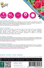 Summende Kletterblumen, Roter Drache Asarina