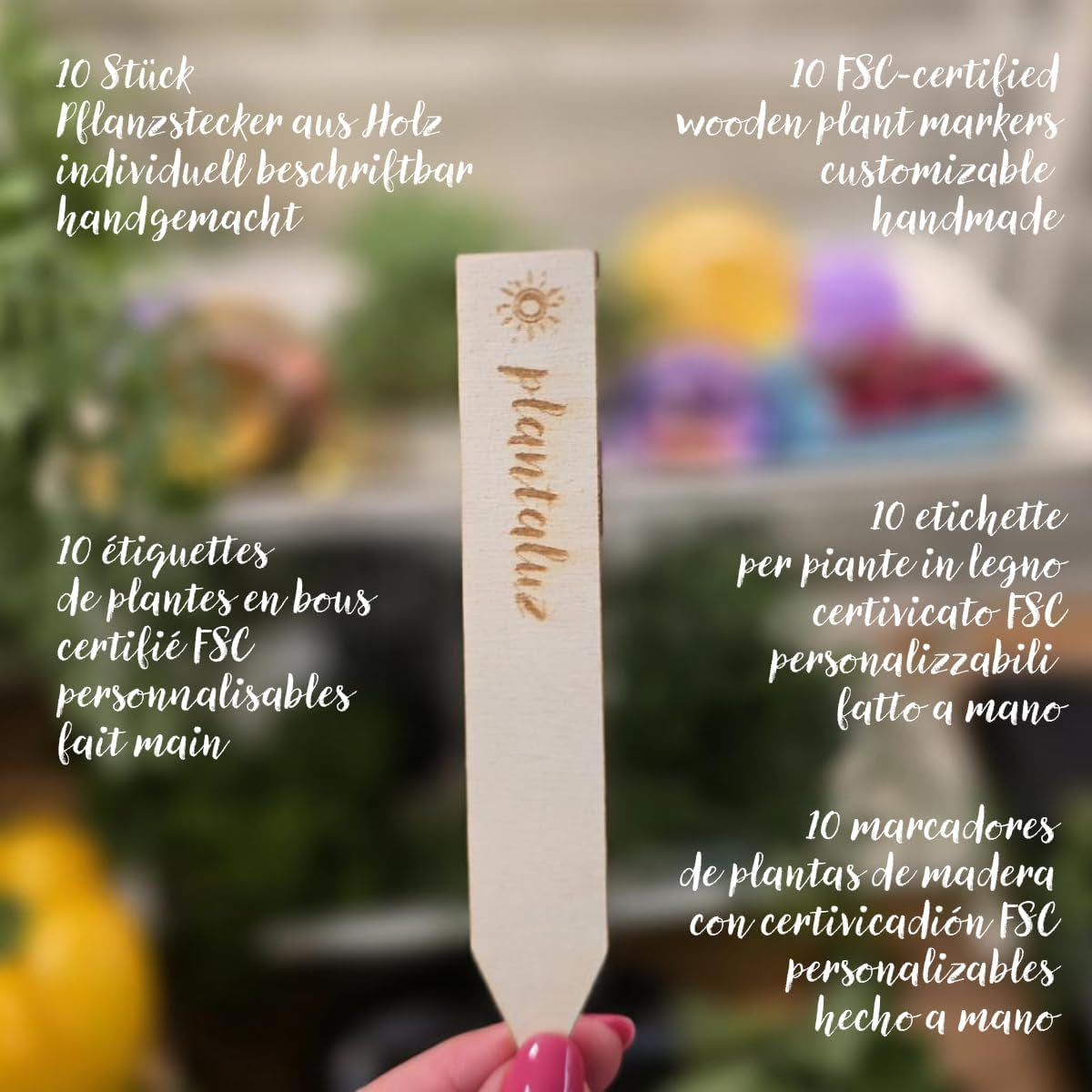 Plantaluz Premium Bio-Samen-Set P03 – Kulinarik- und Heilpflanzen-Samen-Set für Garten, Balkon und Innenbereich – inkl. Samen FSC-Pflanzstäbchen – Frei bestäubte, unbehandelte und gentechnikfreie Bio-Samen