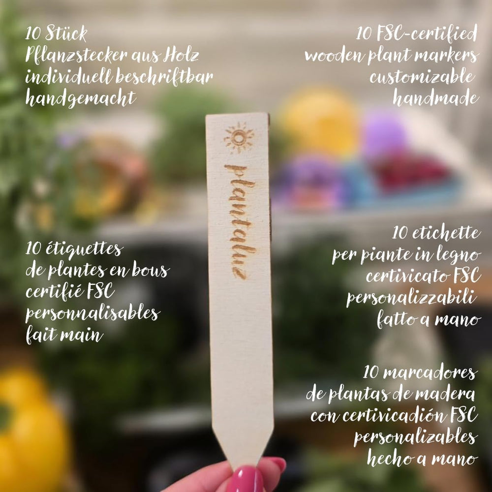 Plantaluz Premium Bio-Samen-Set P03 – Kulinarik- und Heilpflanzen-Samen-Set für Garten, Balkon und Innenbereich – inkl. Samen FSC-Pflanzstäbchen – Frei bestäubte, unbehandelte und gentechnikfreie Bio-Samen