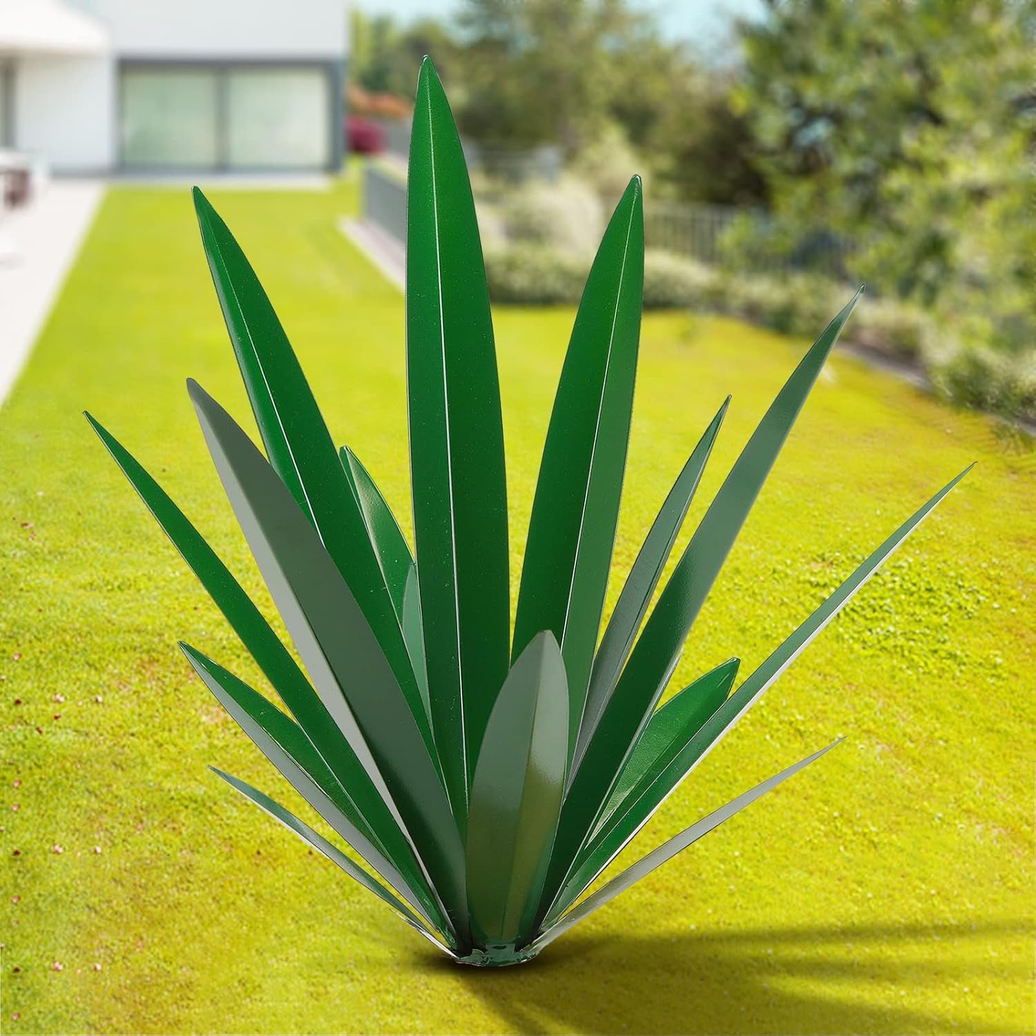 Agave Pflanze (Groß-Rot)