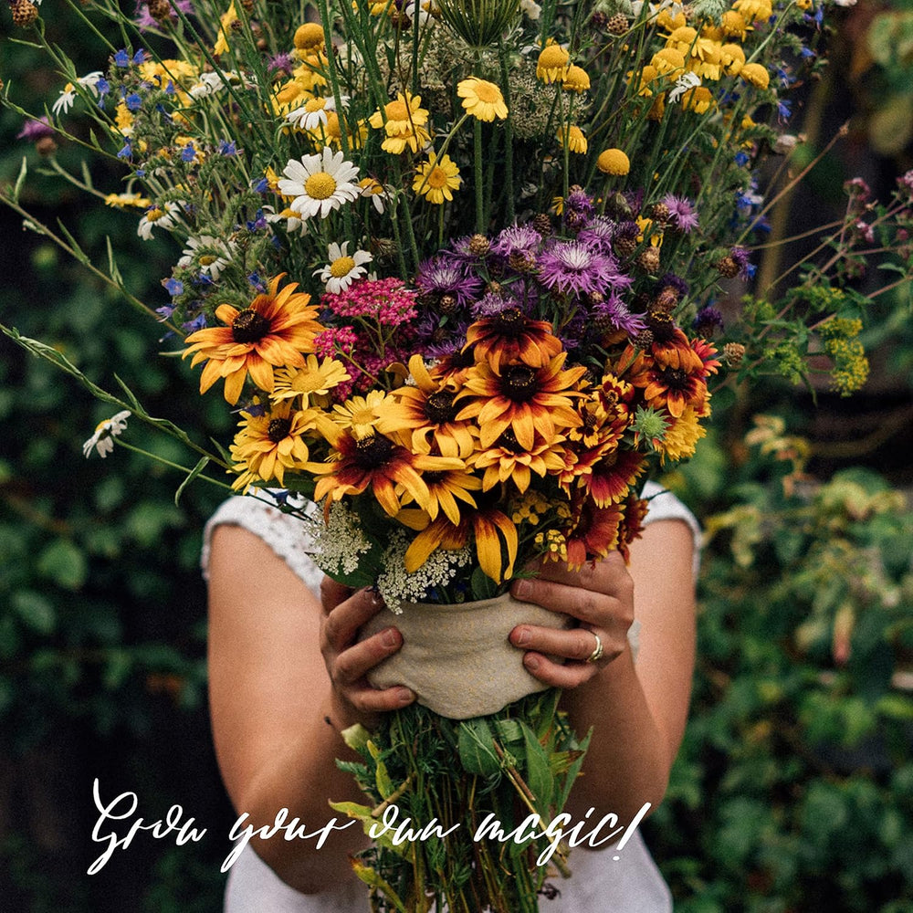 Unsere Lieblingspflanzen: Stauden und Sommerblumen für Blumenliebhaber (Bio) – Samen-Geschenkset mit 6 schönen Sorten für eine wilde Blumenexplosion – macht glücklich!