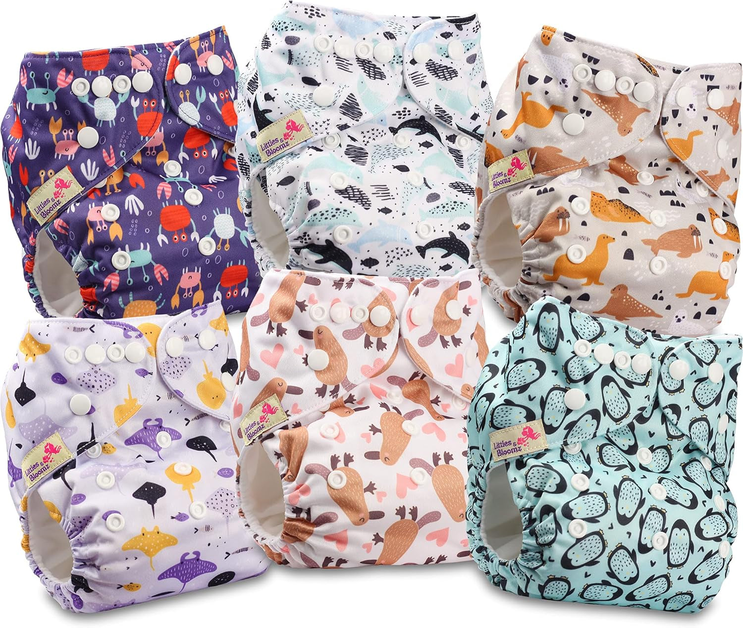 Littles and Bloomz FLP2-0406 Wiederverwendbare Standard-Clip-Windel, 4 Windeln