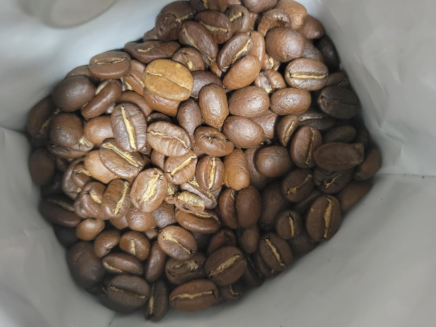 Spezialitätenkaffee Bohnen 100% Arabica Natural Mittlere Röstung Gewaschener Prozess Zitrus Schokolade Karamell Schattenanbau Sierra Nevada (250 g, Castillo)