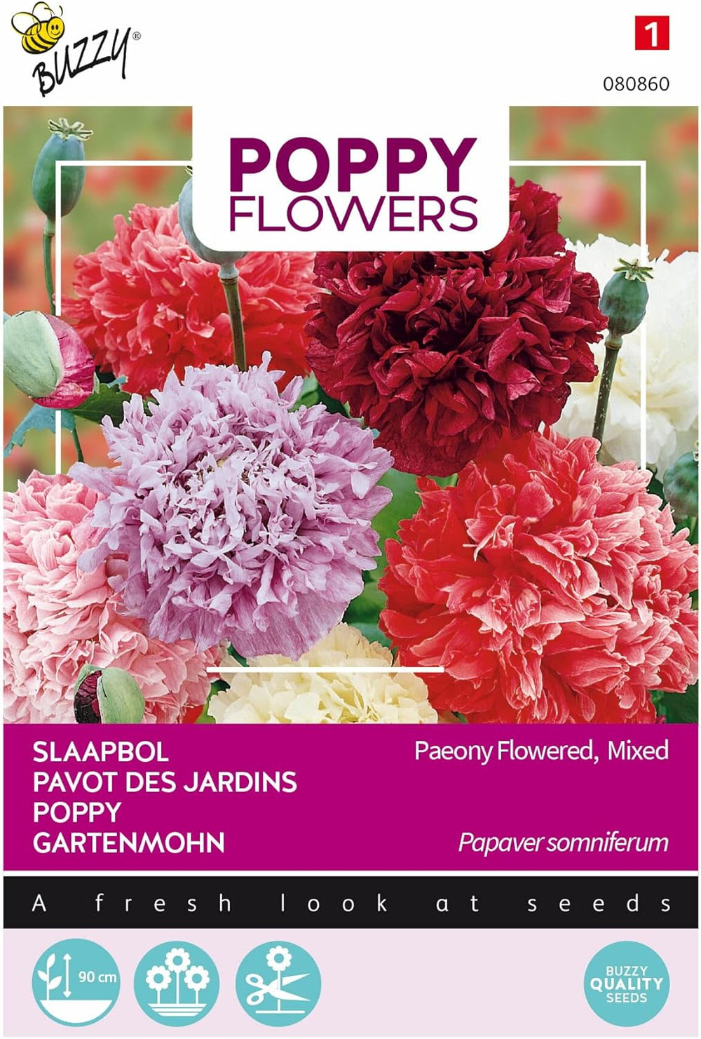 Mohnblumen Buzzy Mac Paeoniflorum Gef. Mischen.
