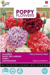 Mohnblumen Buzzy Mac Paeoniflorum Gef. Mischen.