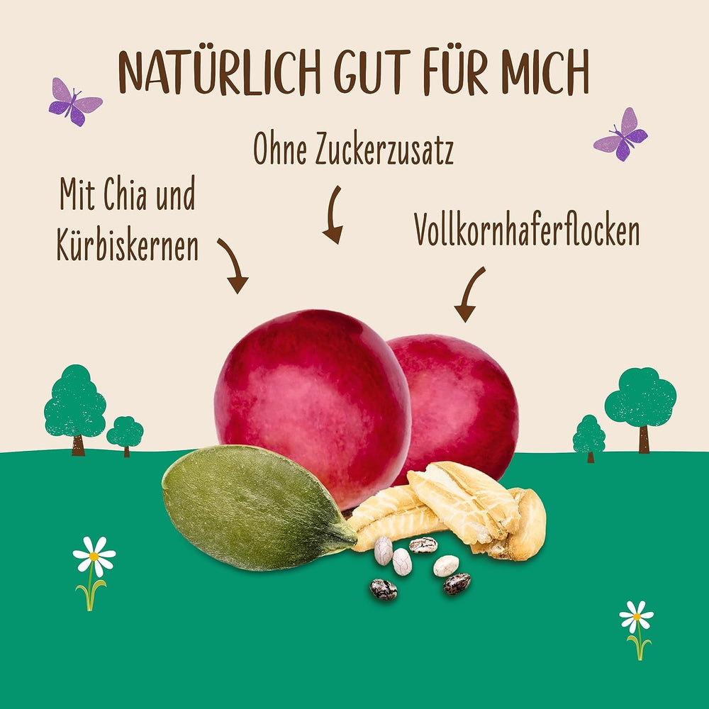 Allos ungesüßtes Proteinmüsli | Bio-Müsli | Haferflocken | Müsli zum Frühstück | Vegan (5 x 450g), 1 Stück (5er Pack)