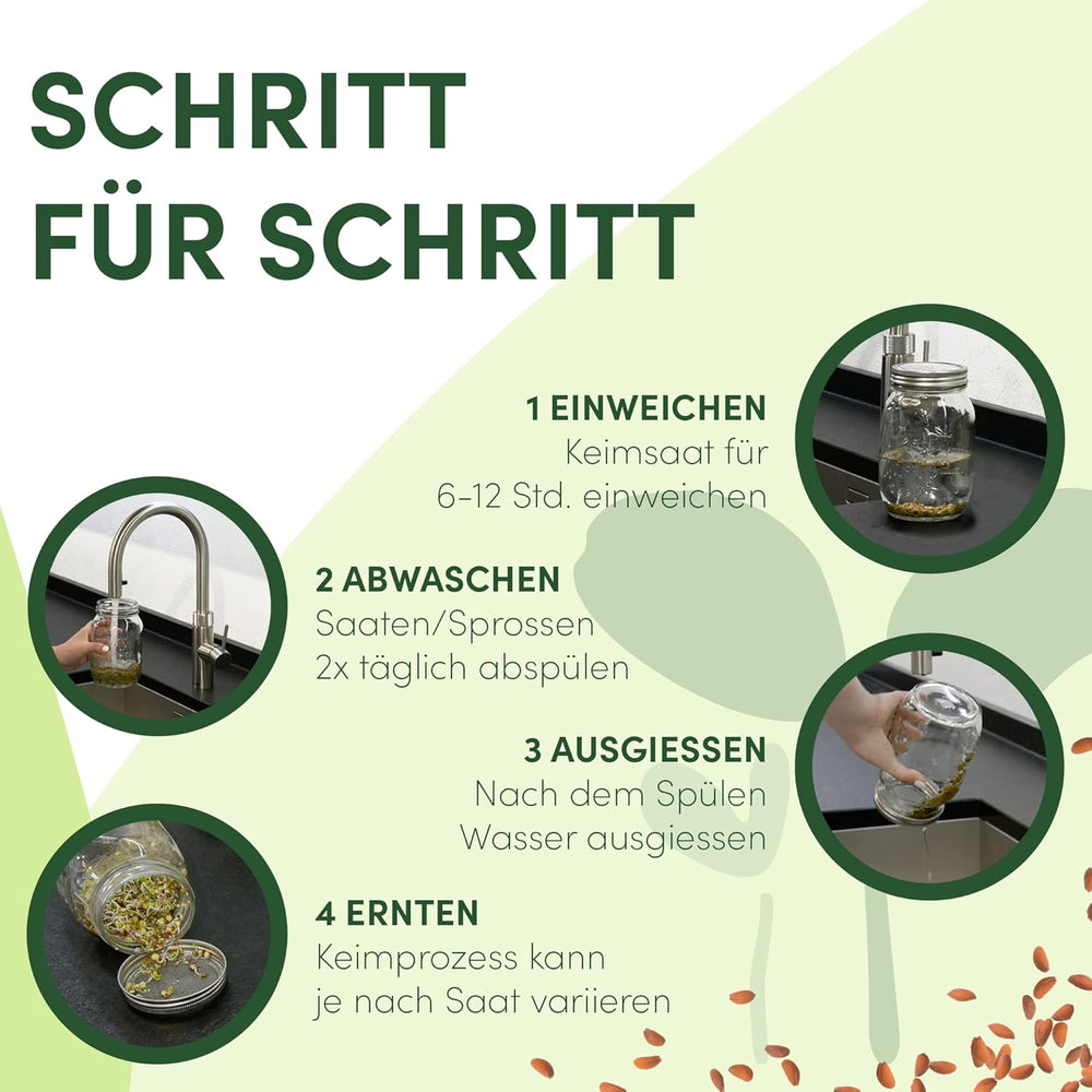 [Original Starterset mit Sprossenglas + Brunnenkressesieb | 1000 ml mit hochwertiger Edelstahl-Netzabdeckung, Ständer, Keramikschale + ABC für die Keimung. [Druckversion] Sämlingsschale mit Keimglas