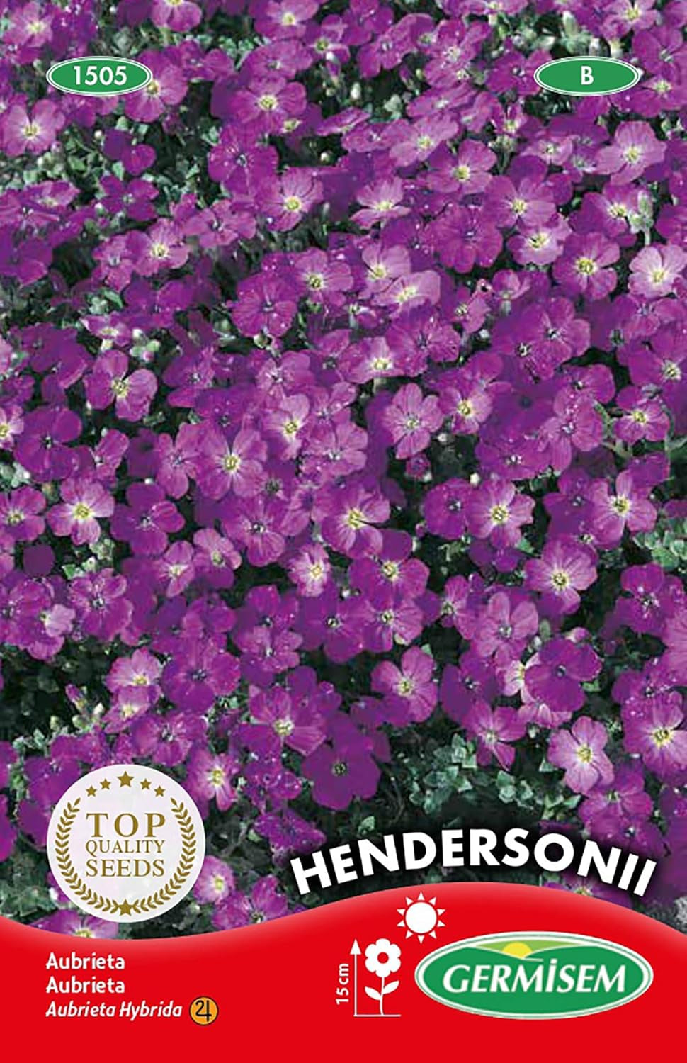 Blaukissen, Mehrfarbig, EC1505 & Steinkraut Alyssum, Mehrfarbig, EC1501