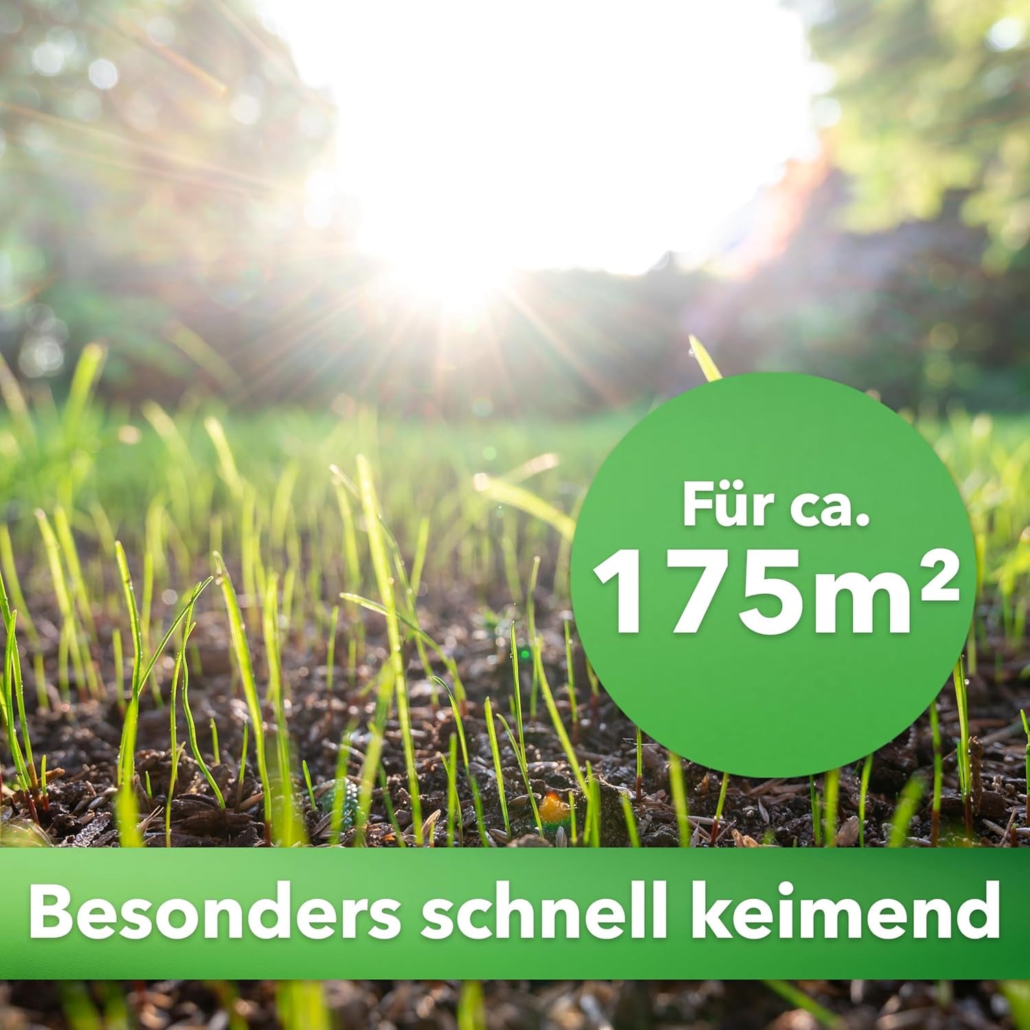 Hesa Gartenrasen Universal, 5 Kg Für Ca 175 M², Qualitäts-Rasensamen Für Hausgärten Und Restflächen, Pflegeleicht Und Schnellkeimend