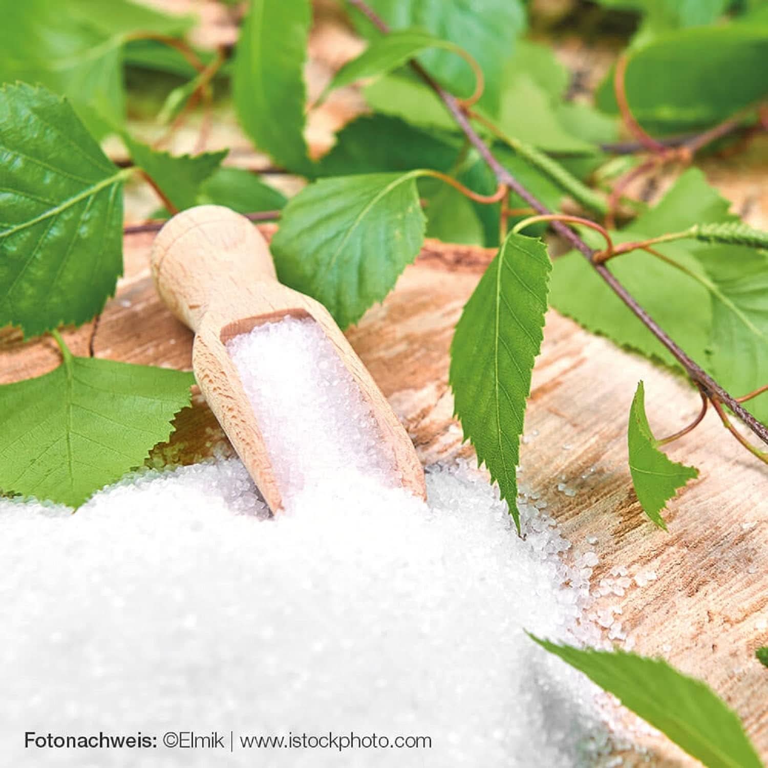 Raab Vitalfood Premium, Birkenzucker mit Xylitol-Süßstoff, Vegan, 1:1 Alternative zu Zucker, 300 Gramm Süßstoffe Naty Shop