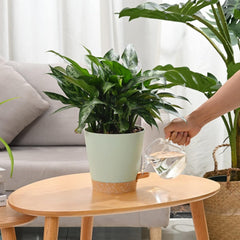 Ghivece de flori, 6 bucăți, 12,7 cm, jardiniere cu auto-udare, drenaj ridicat, ghivece de flori pentru interior și exterior, cu tavă rezervor și margine de udare, jardinieră de grădină, grădină