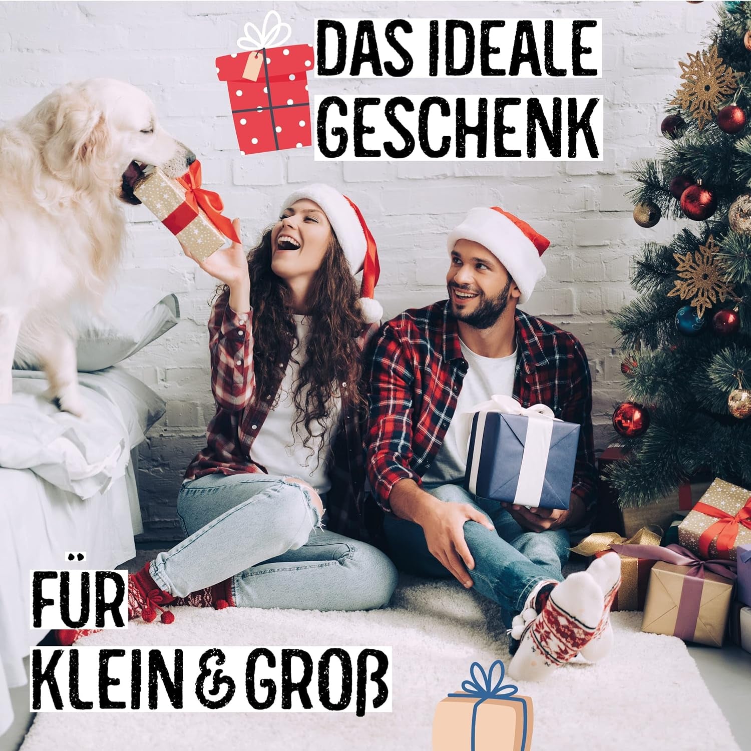 Weihnachtsbaum 2030 – Nordmann Weihnachtsbaumsamen zum Pflanzen eines Weihnachtsbaumes, ideal als Wichtelgeschenk zu Weihnachten