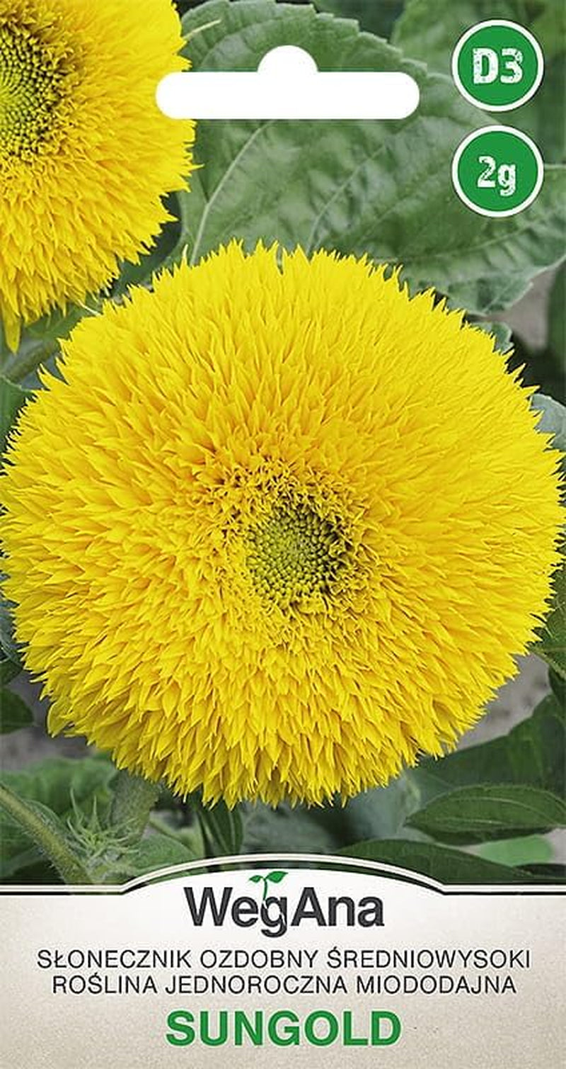 Cosmos Sensation Mix 1g Samen, Cosmos Mix Sommerblumen, Gartenpflanzen Balkonpflanzen, Blumensamen