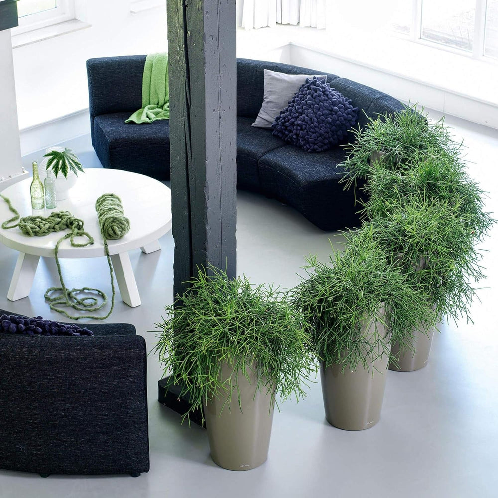 LECHUZA RONDO Premium 40 alb lucios 15740