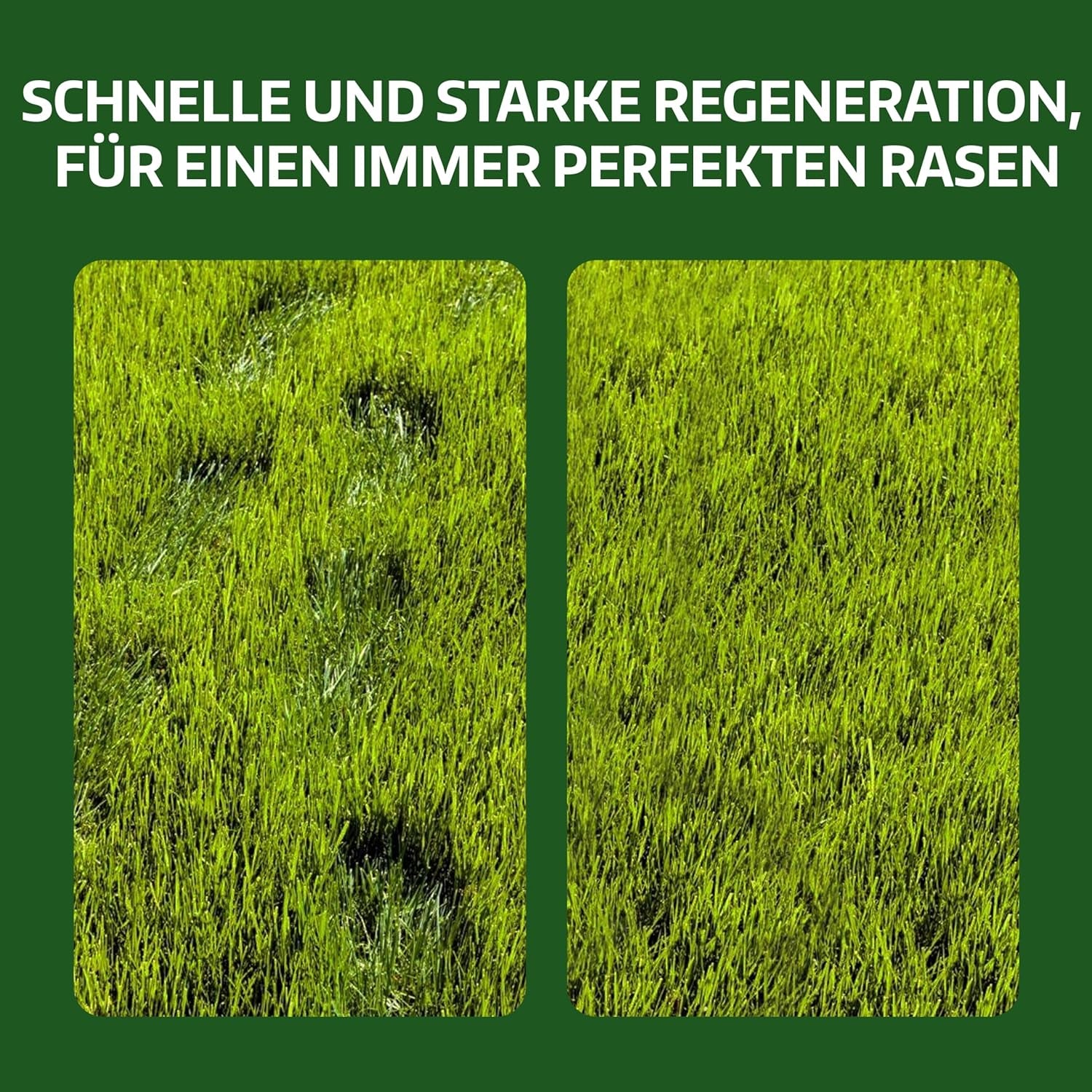 LERAVA Rasensamen Bermudagras (200 G) - Für 20 M² - Extrem Trittfest Und Trockenheitsresistent - Schnellwachsender Rasen Für Mediterrane Und Küstennahe Flächen - Spart Bis Zu 20% Wassera