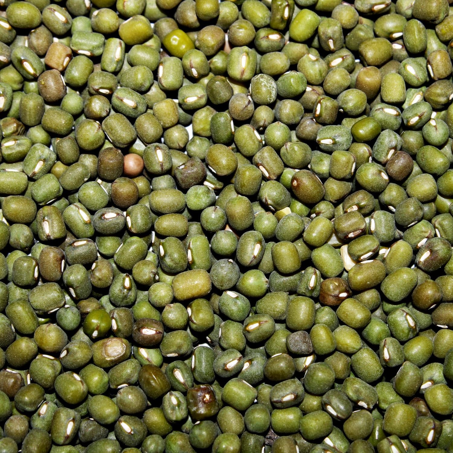 AFROASE - Munggrüne Bohnen - 1 x 1 kg (2er Pack)