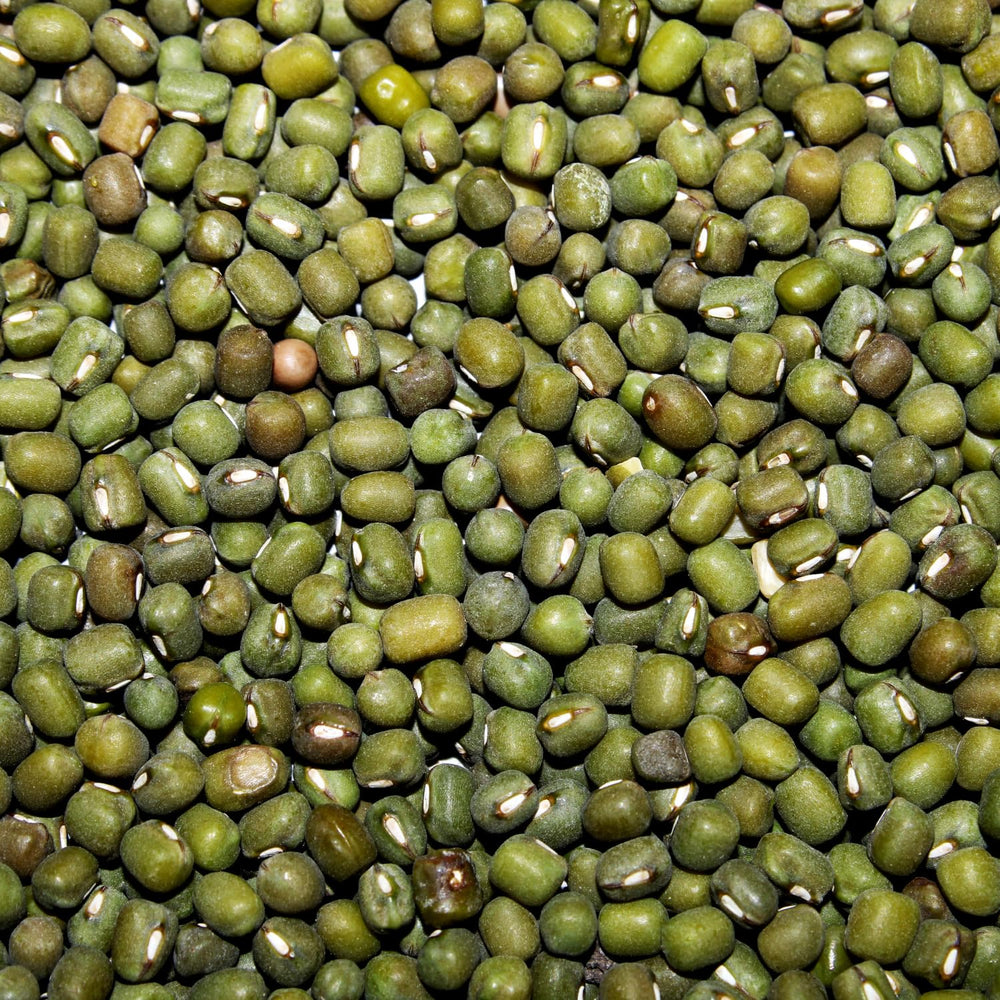 AFROASE - Munggrüne Bohnen - 1 x 1 kg