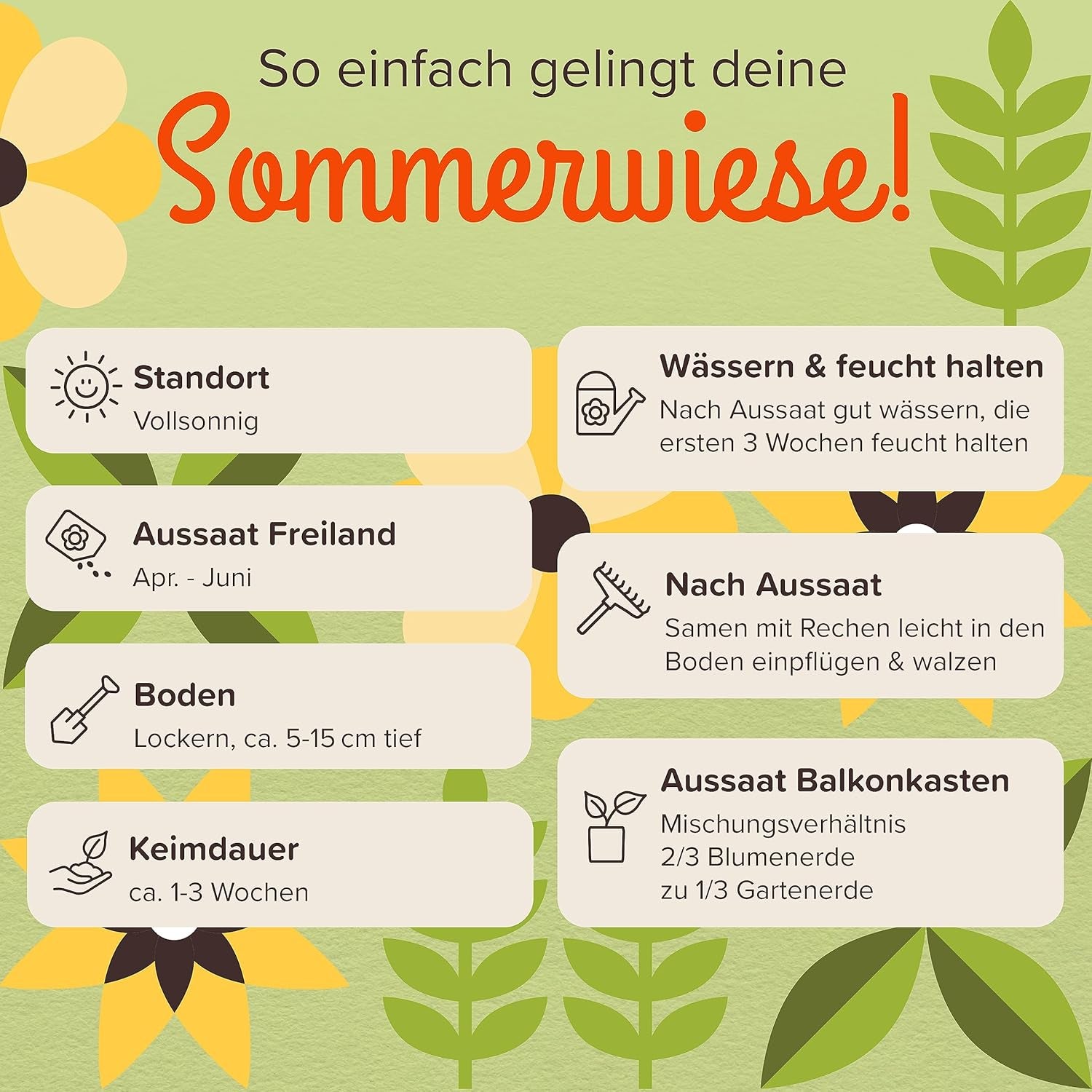 100 g Premium-Wildblumensamen für eine farbenfrohe Blumenwiese – lebendige und nektarreiche Blumensamenmischung für Bienen und Schmetterlinge (inklusive kostenlosem E-Book)