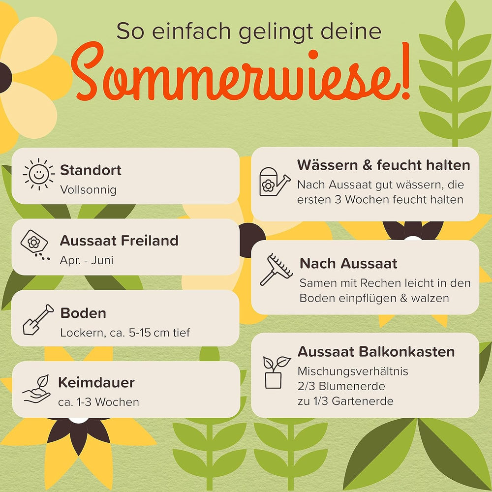 100 g Premium-Wildblumensamen für eine farbenfrohe Blumenwiese – lebendige und nektarreiche Blumensamenmischung für Bienen und Schmetterlinge (inklusive kostenlosem E-Book)