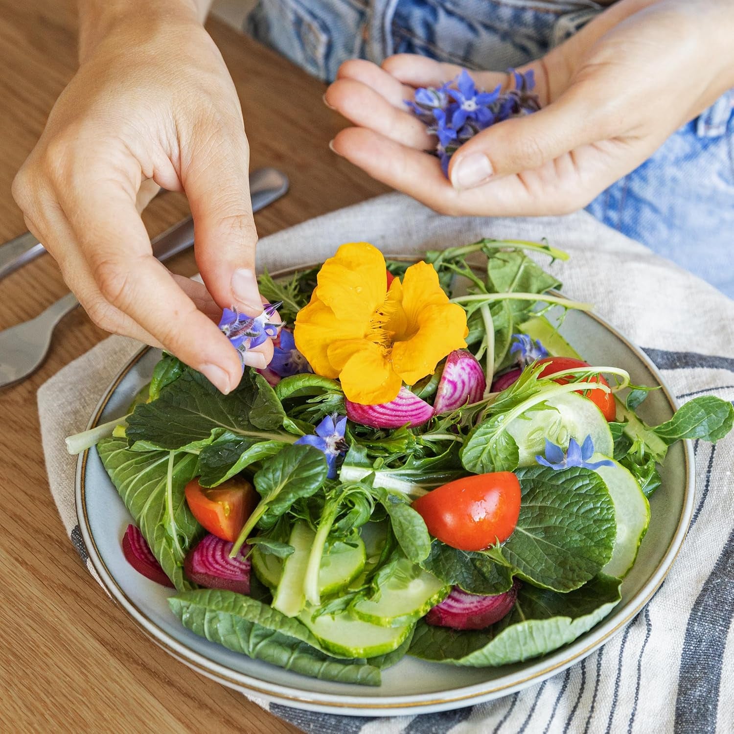 Salatsamen: Set mit 8 Sorten Salatsamen für Garten und Balkon – Salatsamen, Senfblatt, Feldsalat (winterhart), Radicchio, Endiviensamen, Chicorée – Salatgemüsesamen von OwnGrown
