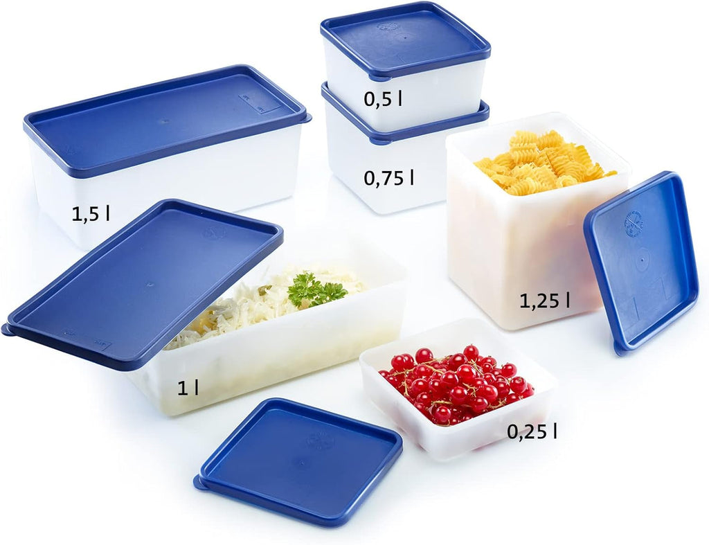 Westmark 4 recipiente pentru depozitarea alimentelor/congelare, inclusiv capac, capacitate: 0,25 l fiecare, stivuibile, plastic, Trio, culoare: transparent/albastru, 25042270 Cutii depozitare alimente Naty Shop