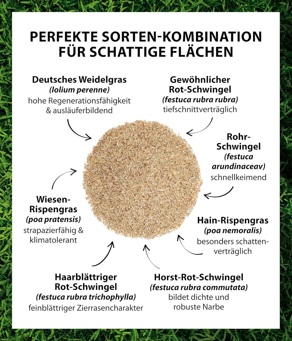 Dehner Saatgut Schattenrasen, Hochwertige Rasensamen Schnell Keimend/Selbstregenerierend, Ideal Für Schattige/Halbschattige Flächen, Fsc-Zertifizierte Verpackung, 1.25 Kg Für Ca. 50 M²