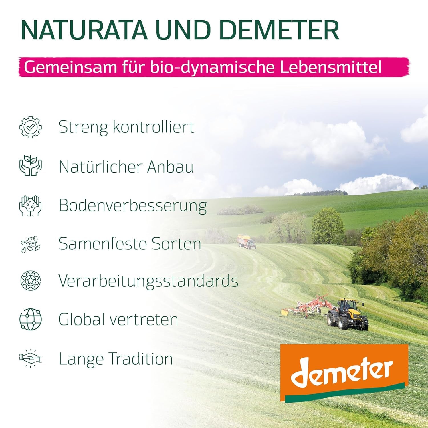 Bio-Dinkel-Lasagneblätter, 250g | Demeterzauber von der Schwäbischen Alb | Zarter Nussgeschmack für Lasagne und Aufläufe