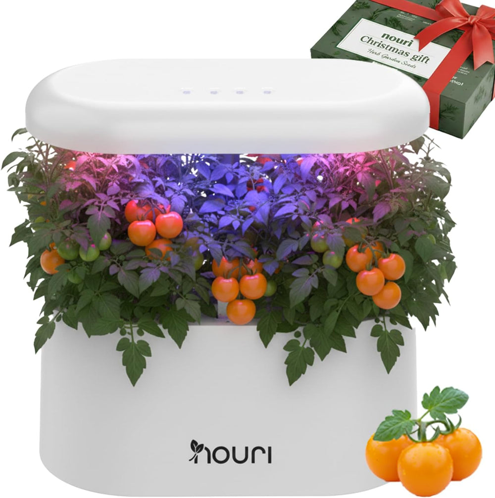 Neue 7 Bridge + Heirloom Basilikum | Smart Garden für Hobbyköche | Hydroponisches Anbausystem | LED-Wachstumslichter | Kräutergarten-Set für den Innenbereich für Pflanzenliebhaber und Gärtner, Weiß