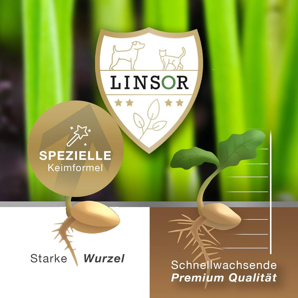 Kurzrasen, 1 Kg Rasensamen Schnellkeimend, 25% Weniger Mähen, Kurzwüchsige Gräsersorten