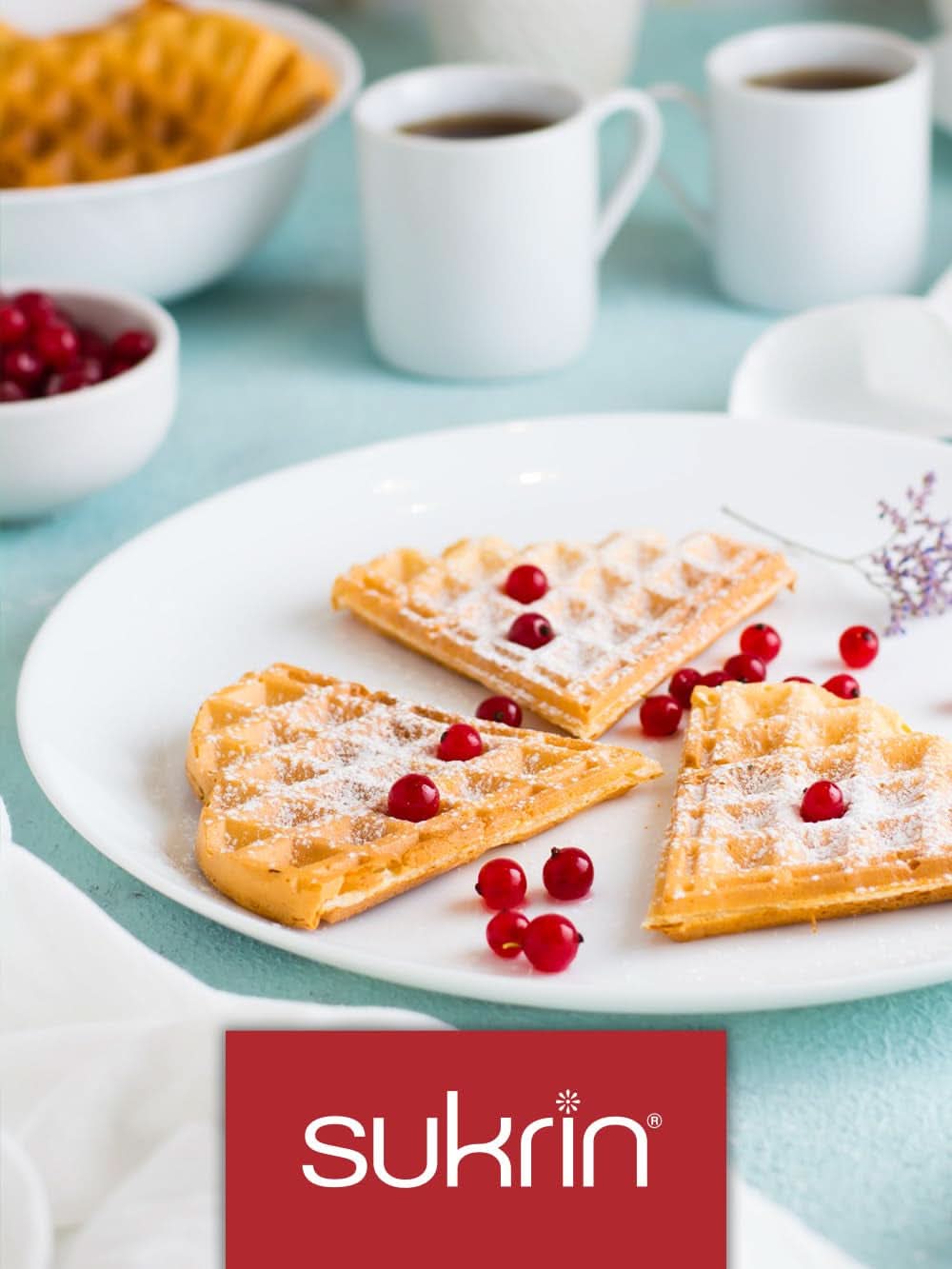 Sukrin Erythritol, natürliche Alternative zu Zucker ohne Kalorien, 1 Packung, 500 Gramm Süßstoffe Naty Shop