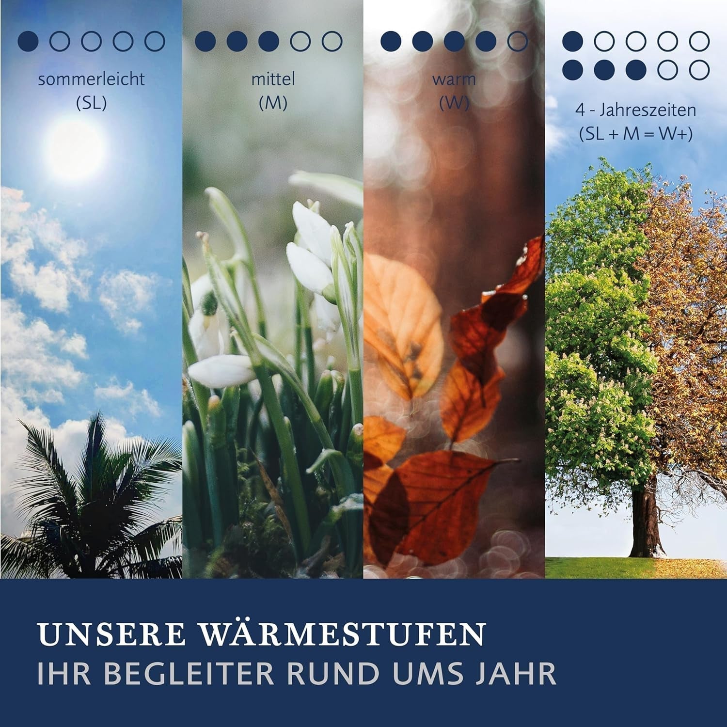 Billerbeck E21 King-Faserbettdecke – Feinfaserbettdecke mit Aloe Vera – 135 x 200 cm Ganzjahresdecke mit mittlerem Wärmeniveau, weiße Bettdecken und Steppdecken von Naty Shop