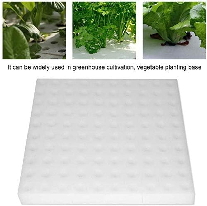 Hydrokultur-Schwamm, 100 Stück, Hydrokultur-Schwämme für den Samenanbau, Gartengerät für kleine Knospenpflanzen oder Setzlinge