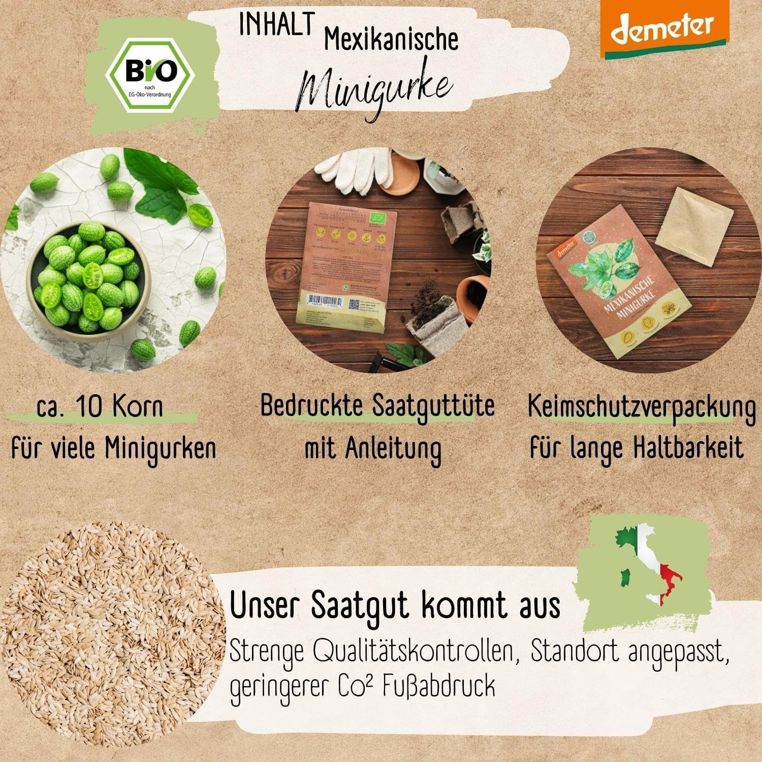Semințe de castraveți mini mexicani organici, 10 semințe de castraveți gustare, rată mare de germinare, certificate Demeter și polenizate deschis | Semințe de legume de la LOVEPLANTS, pentru balcon, grădină, strat înălțat – Soiuri de legume Heirloom